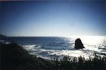 pacific_coast.1.jpg (3378 bytes)