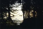 pacific_coast.3.jpg (4290 bytes)