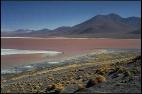 Laguna Colorada