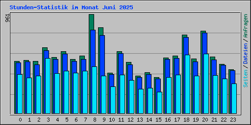 Stunden-Statistik im Monat Juni 2025